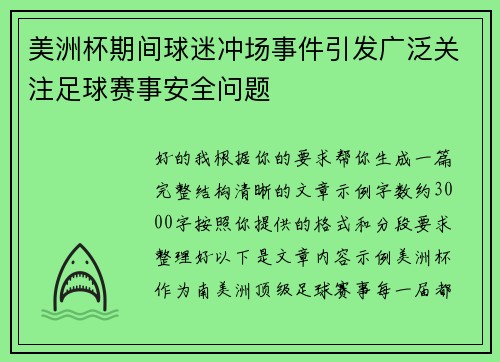 美洲杯期间球迷冲场事件引发广泛关注足球赛事安全问题
